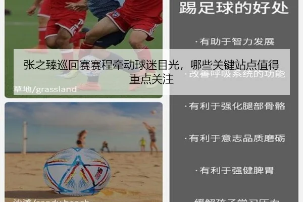 张之臻巡回赛赛程牵动球迷目光，哪些关键站点值得重点关注 - yingjia tiyu